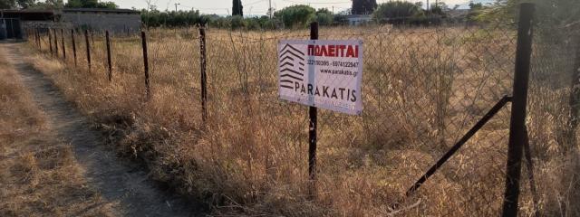 Προνομιακό Αγροτεμάχιο 3.300 τ.μ. στο Βασιλικό Χαλκίδας – 450μ. από τη Θάλασσα